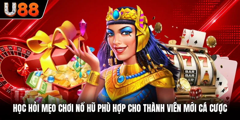 Học hỏi mẹo chơi nổ hũ phù hợp cho thành viên mới cá cược Học hỏi mẹo chơi nổ hũ phù hợp cho thành viên mới cá cược